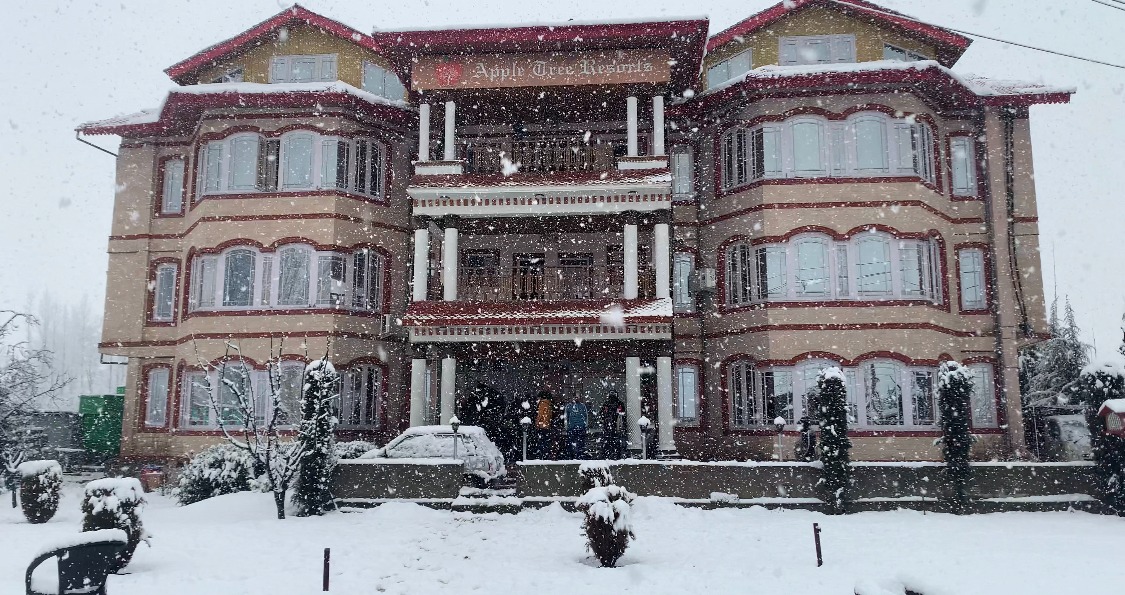 Apple Tree Resort